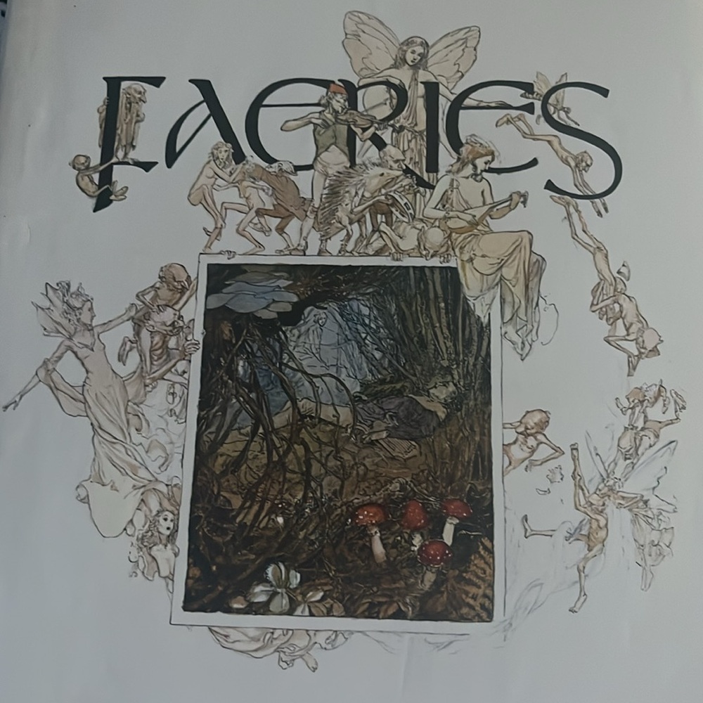 Faeries 1978 hardcover vintage Illustrated Book by Brian Froud and Alan Lee - Picture 5 of 10
